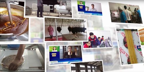 四問食機展云上誠 如何構(gòu)筑供采互利共贏與技術(shù)交流新平臺？